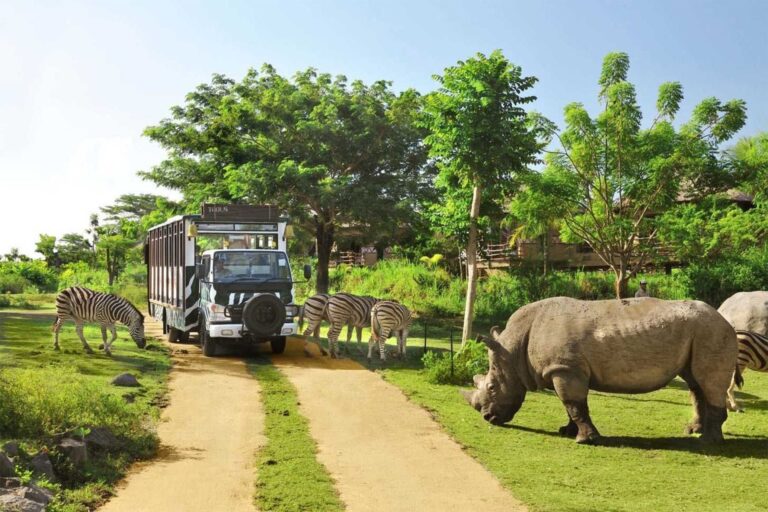 Bali Safari & Marine Park