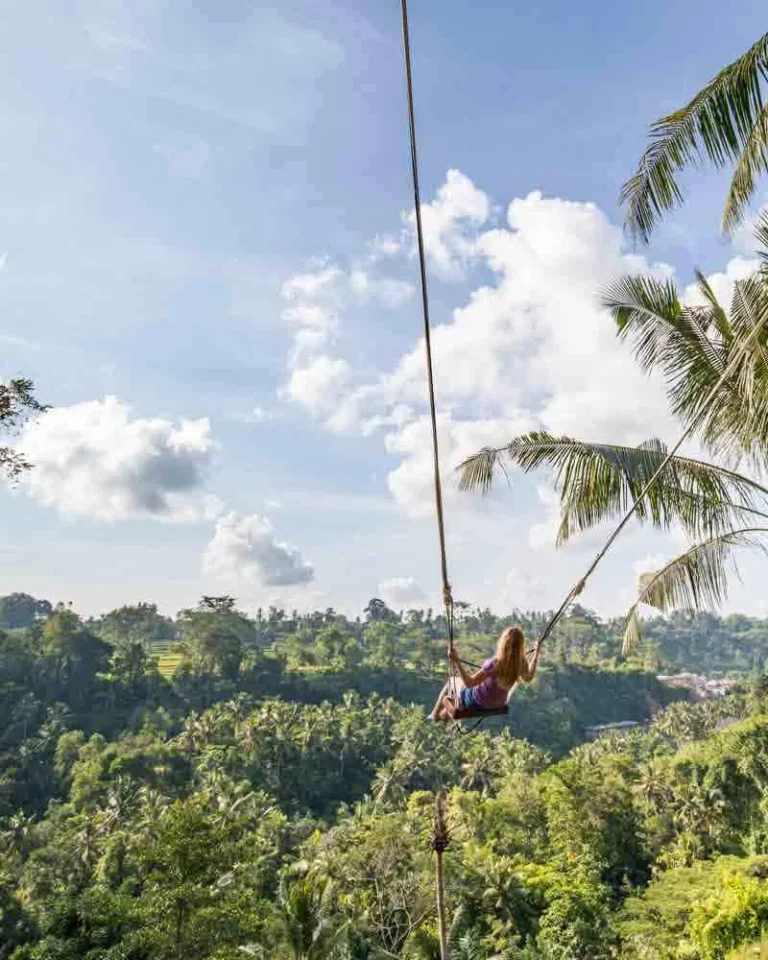 Bali Swing Experience