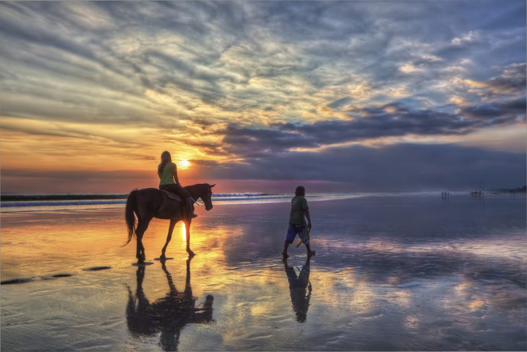 Horse Riding