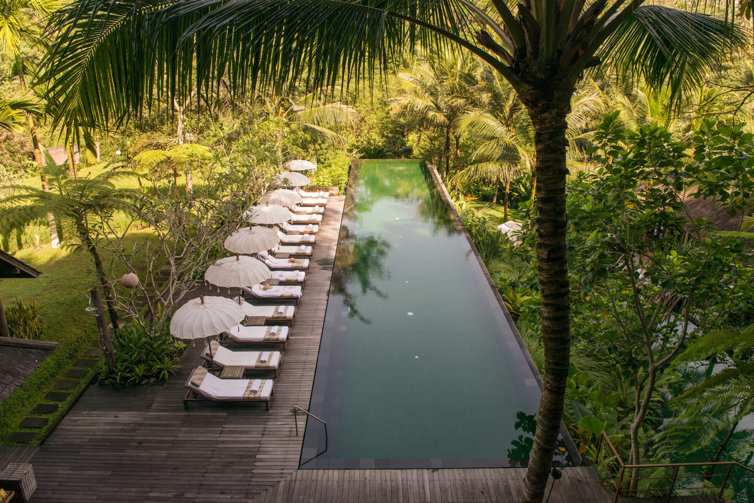 Farewell to Bali